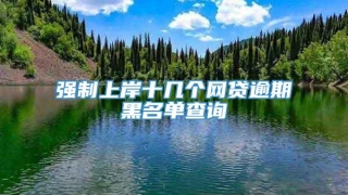 强制上岸十几个网贷逾期黑名单查询