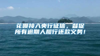 花呗接入央行征信，督促所有逾期人履行还款义务！