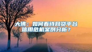 大佛:如何看待网贷平台信用危机案例分析?