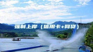 强制上岸（信用卡+网贷）