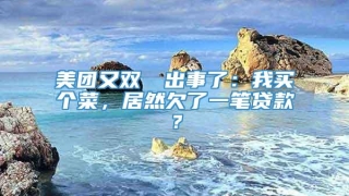 美团又双叒叕出事了:我买个菜,居然欠了一笔贷款?