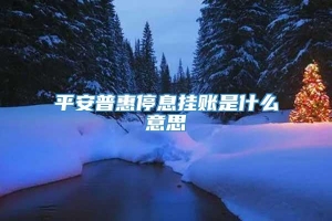 平安普惠停息挂账是什么意思