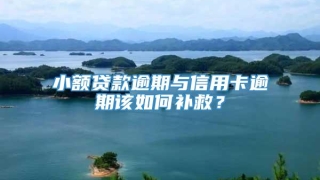 小额贷款逾期与信用卡逾期该如何补救？