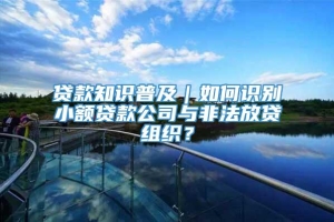 贷款知识普及｜如何识别小额贷款公司与非法放贷组织？