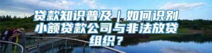 贷款知识普及｜如何识别小额贷款公司与非法放贷组织？