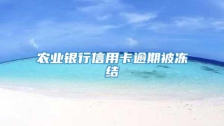 农业银行信用卡逾期被冻结