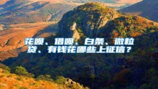 花呗、借呗、白条、微粒贷、有钱花哪些上征信?