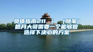 负债指南211 | (随笔)皓月大哥需要一个能够做选择下决心的方案
