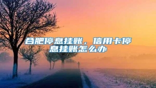 合肥停息挂账,信用卡停息挂账怎么办
