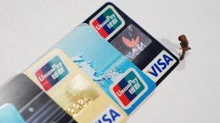 办理信用卡时，用的是假的工作信息，信用卡逾期会有什么后果？