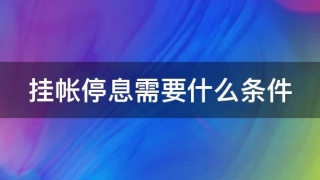 挂帐停息需要什么条件