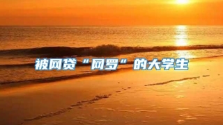 被网贷“网罗”的大学生