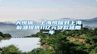 大悦城:上海悦耀对上海前滩提供11亿元贷款延期一年