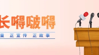 贷款逾期30年回忆录:夹着尾巴做人,抬不起头