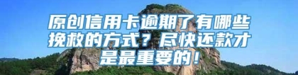 原创信用卡逾期了有哪些挽救的方式？尽快还款才是最重要的！