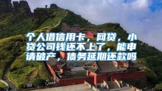 个人借信用卡,网贷,小贷公司钱还不上了,能申请破产,债务延期还款吗