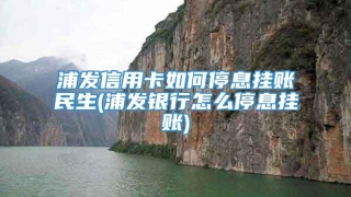 浦发信用卡如何停息挂账民生(浦发银行怎么停息挂账)