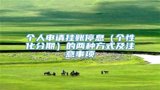 个人申请挂账停息(个性化分期)的两种方式及注意事项