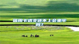 信用卡透支还不上会坐牢吗?