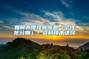 如何办理挂账停息（个性化分期）？资料技术诀窍