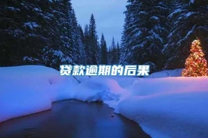 贷款逾期的后果