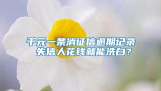 千元一条消征信逾期记录 失信人花钱就能洗白？