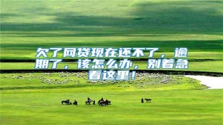 欠了网贷现在还不了,逾期了,该怎么办,别着急看这里!