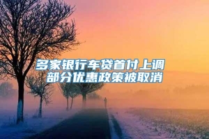 多家银行车贷首付上调 部分优惠政策被取消